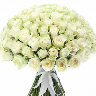 Букет из 101 белой розы Кения